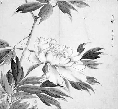 作為“經(jīng)”的《詩(shī)經(jīng)》——從《毛詩(shī)傳箋》談漢代《詩(shī)經(jīng)》詮釋