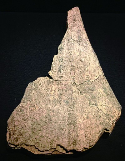 殷墟甲骨：跨越千年的文明之約