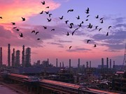 紀念改革開放40年全國煤礦職工攝影作品展覽