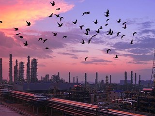 紀念改革開放40年全國煤礦職工攝影作品展覽